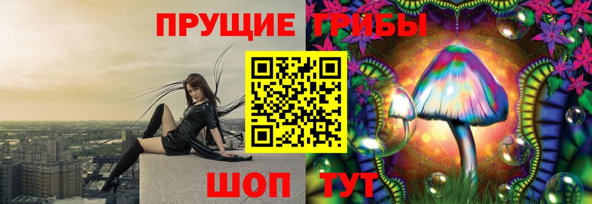 Псилоцибиновые грибы мухоморы  Псилоцибиновые грибы GOLDEN TEACHER  Вход с VPN  Балаково 